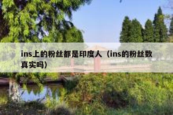 ins上的粉丝都是印度人（ins的粉丝数真实吗） 第1张
