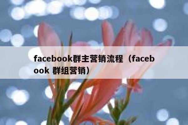 facebook群主营销流程（facebook 群组营销） 第1张