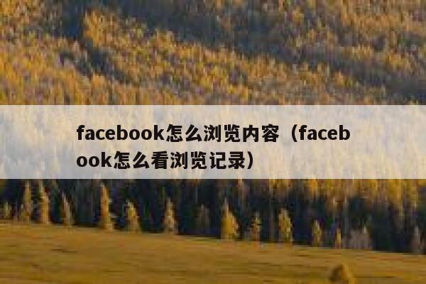 facebook怎么浏览内容（facebook怎么看浏览记录） 第1张
