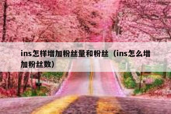 ins怎样增加粉丝量和粉丝(ins怎么增加粉丝数) 第1张 ins怎样增加粉丝量和粉丝(ins怎么增加粉丝数) 第1张