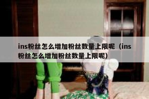 ins粉丝怎么增加粉丝数量上限呢（ins粉丝怎么增加粉丝数量上限呢） 第1张