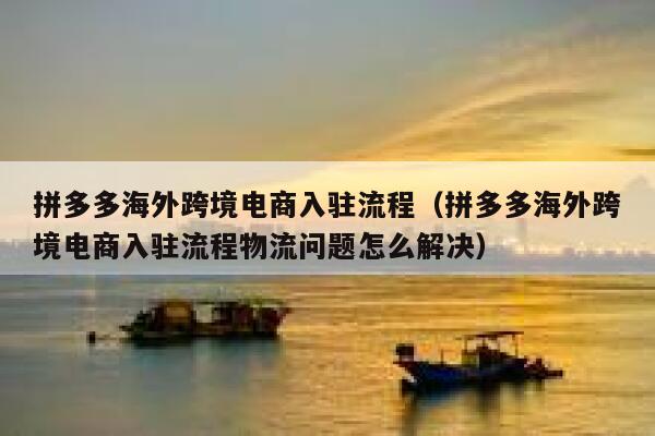 拼多多海外跨境电商入驻流程（拼多多海外跨境电商入驻流程物流问题怎么解决） 第1张