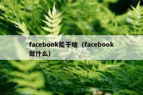 facebook能干啥（facebook做什么） 第1张