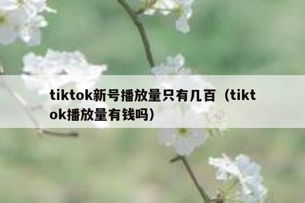 tiktok新号播放量只有几百（tiktok播放量有钱吗） 第1张