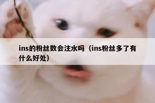 ins的粉丝数会注水吗（ins粉丝多了有什么好处） 第1张