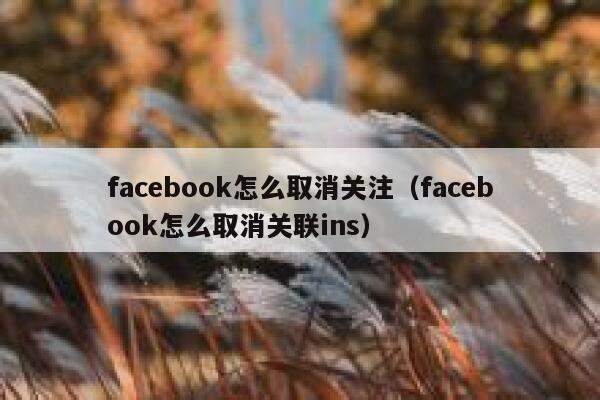 facebook怎么取消关注（facebook怎么取消关联ins） 第1张