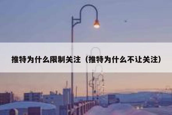 推特为什么限制关注(推特为什么不让关注) 第1张 推特为什么限制关注(推特为什么不让关注) 第1张