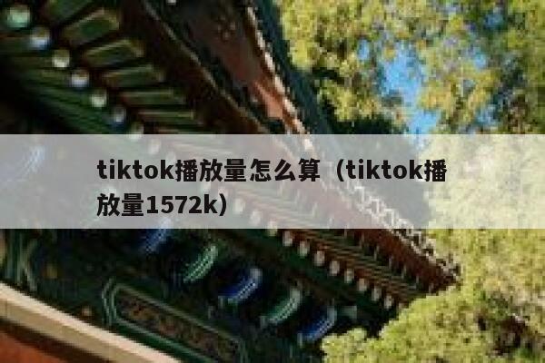 tiktok播放量怎么算（tiktok播放量1572k） 第1张