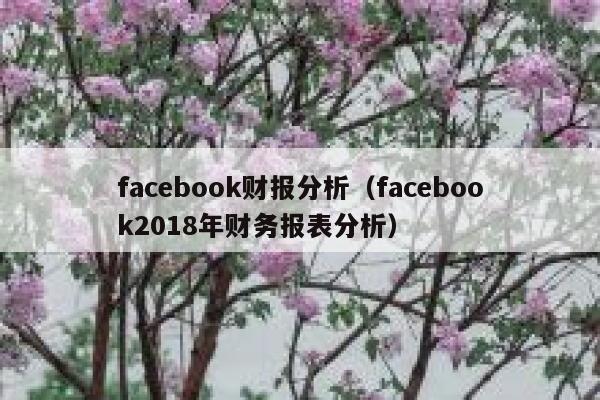 facebook财报分析（facebook2018年财务报表分析） 第1张