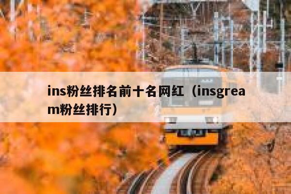 ins粉丝排名前十名网红（insgream粉丝排行） 第1张