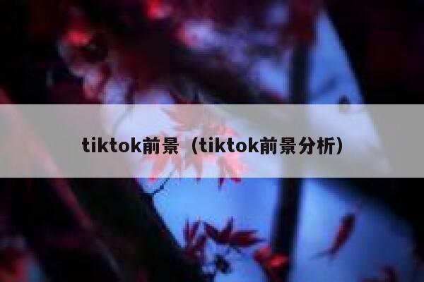 tiktok前景（tiktok前景分析） 第1张