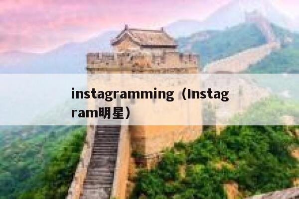 instagramming（Instagram明星） 第1张