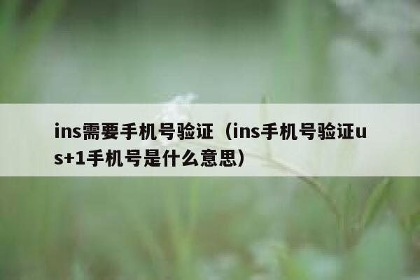 ins需要手机号验证（ins手机号验证us+1手机号是什么意思） 第1张