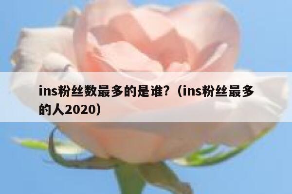 ins粉丝数最多的是谁?（ins粉丝最多的人2020） 第1张