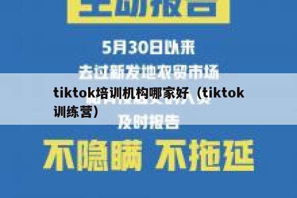 tiktok培训机构哪家好（tiktok训练营） 第1张