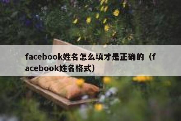 facebook姓名怎么填才是正确的（facebook姓名格式） 第1张