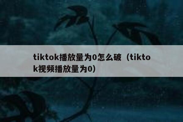 tiktok播放量为0怎么破(tiktok视频播放量为0) 第1张 tiktok播放量为0怎么破(tiktok视频播放量为0) 第1张