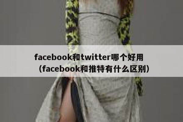 facebook和twitter哪个好用(facebook和推特有什么区别) 第1张 facebook和twitter哪个好用(facebook和推特有什么区别) 第1张