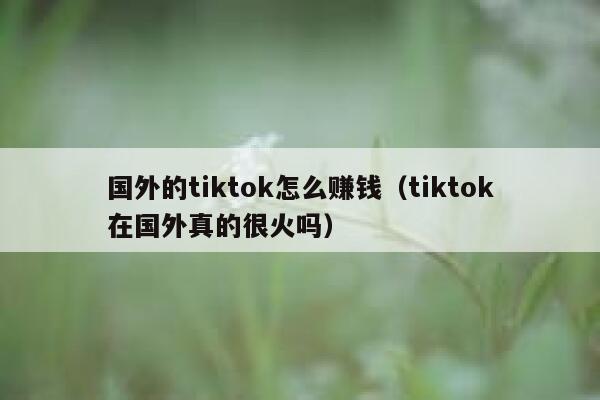 国外的tiktok怎么赚钱（tiktok在国外真的很火吗） 第1张