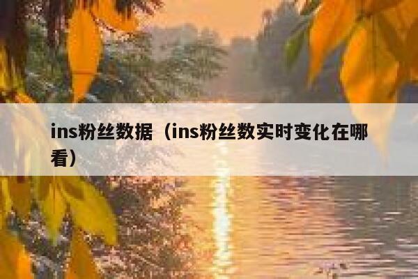 ins粉丝数据（ins粉丝数实时变化在哪看） 第1张