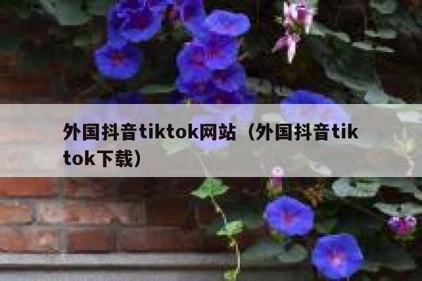 外国抖音tiktok网站（外国抖音tiktok下载） 第1张