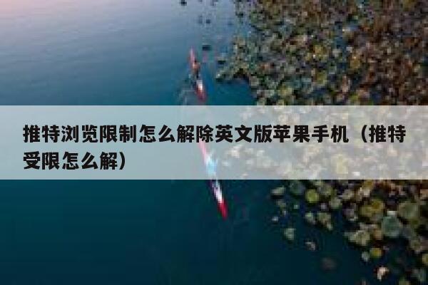 推特浏览限制怎么解除英文版苹果手机(推特受限怎么解) 第1张 推特浏览限制怎么解除英文版苹果手机(推特受限怎么解) 第1张