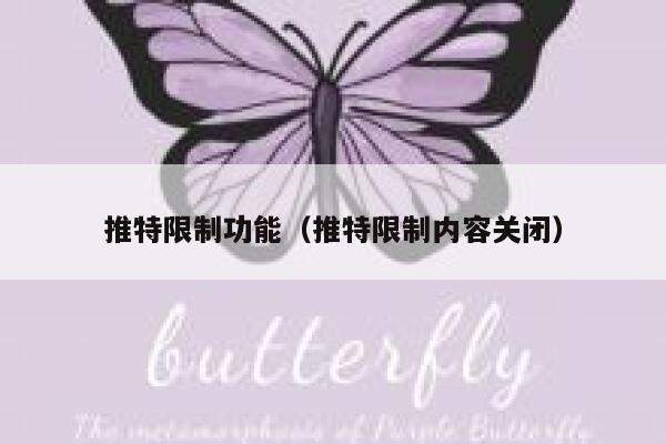 推特限制功能(推特限制内容关闭) 第1张 推特限制功能(推特限制内容关闭) 第1张