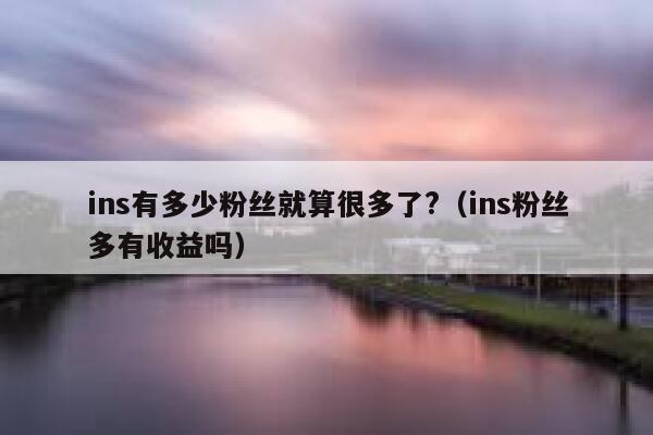 ins有多少粉丝就算很多了?(ins粉丝多有收益吗) 第1张 ins有多少粉丝就算很多了?(ins粉丝多有收益吗) 第1张
