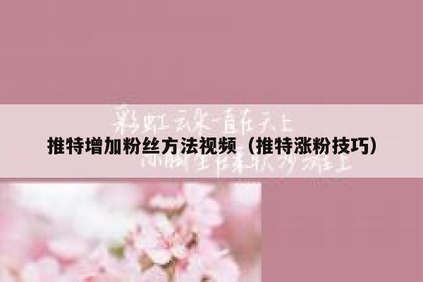 推特增加粉丝方法视频(推特涨粉技巧) 第1张 推特增加粉丝方法视频(推特涨粉技巧) 第1张