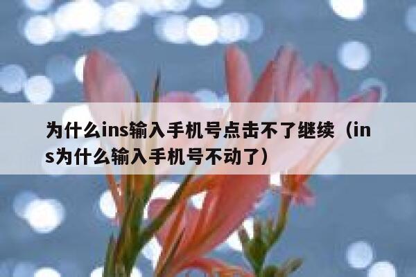 为什么ins输入手机号点击不了继续(ins为什么输入手机号不动了) 第1张 为什么ins输入手机号点击不了继续(ins为什么输入手机号不动了) 第1张