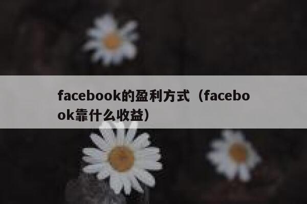 facebook的盈利方式(facebook靠什么收益) 第1张 facebook的盈利方式(facebook靠什么收益) 第1张