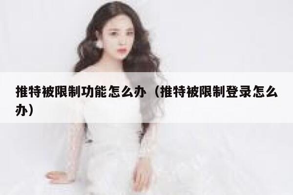 推特被限制功能怎么办（推特被限制登录怎么办） 第1张