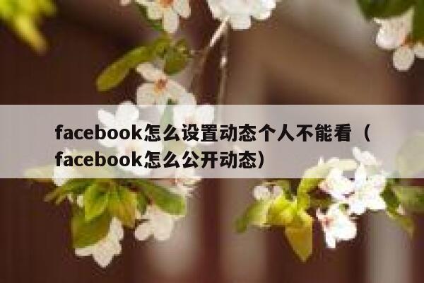 facebook怎么设置动态个人不能看（facebook怎么公开动态） 第1张