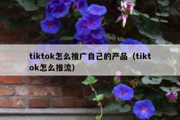 tiktok怎么推广自己的产品(tiktok怎么推流) 第1张 tiktok怎么推广自己的产品(tiktok怎么推流) 第1张
