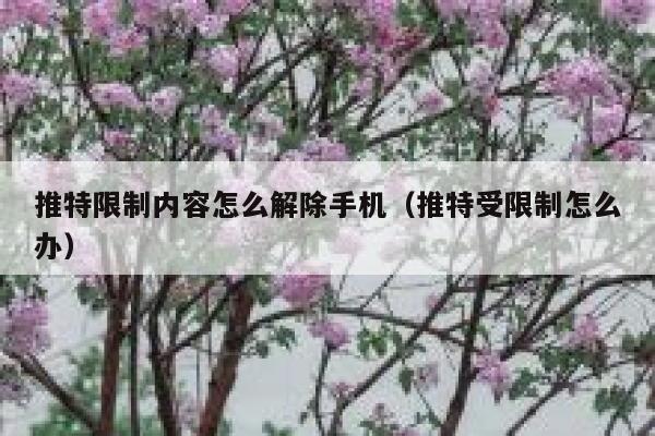 推特限制内容怎么解除手机（推特受限制怎么办） 第1张