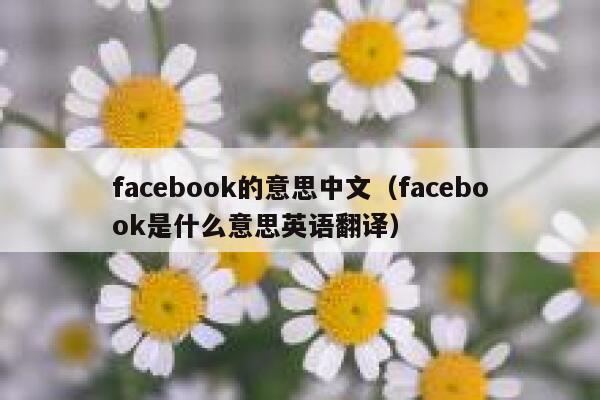 facebook的意思中文（facebook是什么意思英语翻译） 第1张