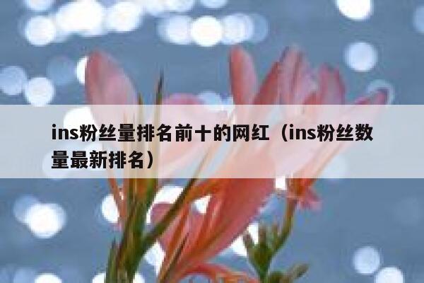 ins粉丝量排名前十的网红（ins粉丝数量最新排名） 第1张