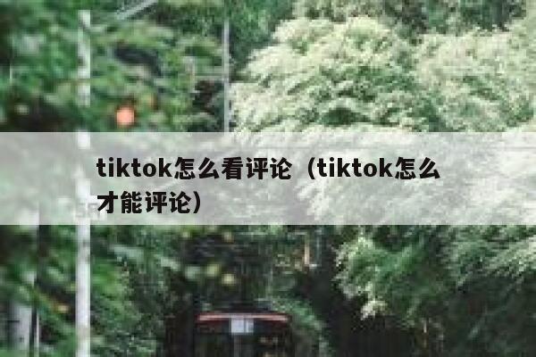 tiktok怎么看评论（tiktok怎么才能评论） 第1张