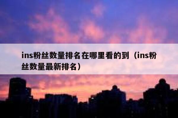 ins粉丝数量排名在哪里看的到（ins粉丝数量最新排名） 第1张