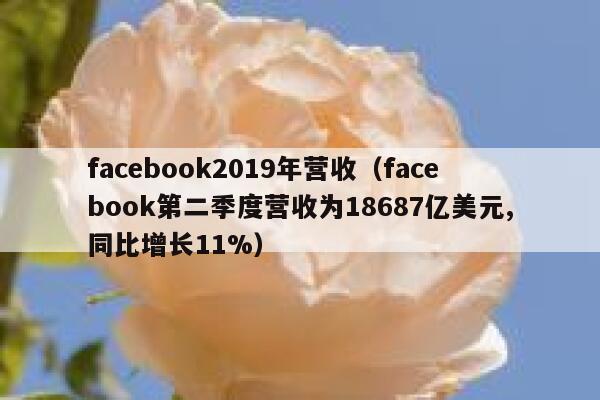 facebook2019年营收（facebook第二季度营收为18687亿美元,同比增长11%） 第1张