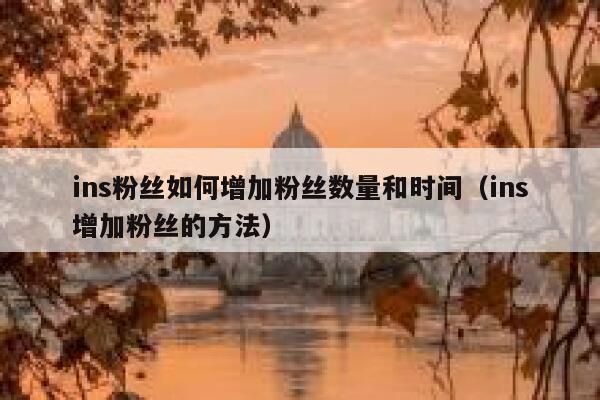ins粉丝如何增加粉丝数量和时间（ins增加粉丝的方法） 第1张