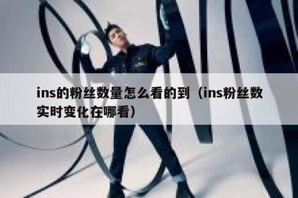 ins的粉丝数量怎么看的到（ins粉丝数实时变化在哪看） 第1张