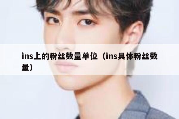 ins上的粉丝数量单位（ins具体粉丝数量） 第1张
