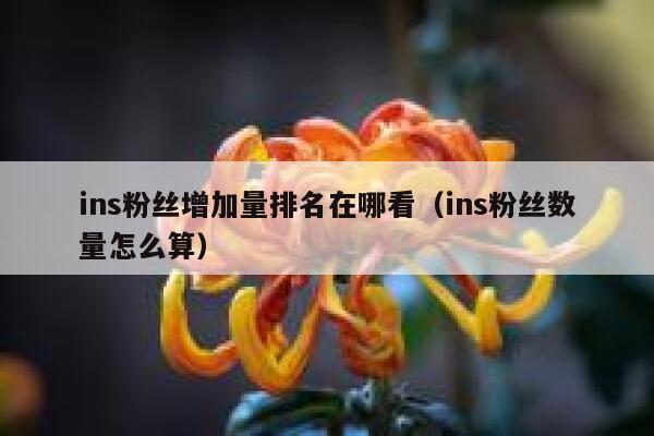 ins粉丝增加量排名在哪看（ins粉丝数量怎么算） 第1张