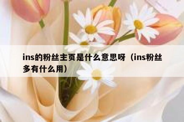 ins的粉丝主页是什么意思呀(ins粉丝多有什么用) 第1张 ins的粉丝主页是什么意思呀(ins粉丝多有什么用) 第1张