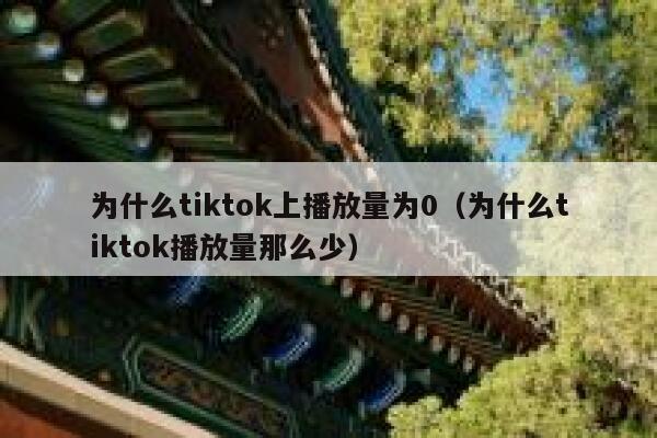 为什么tiktok上播放量为0（为什么tiktok播放量那么少） 第1张