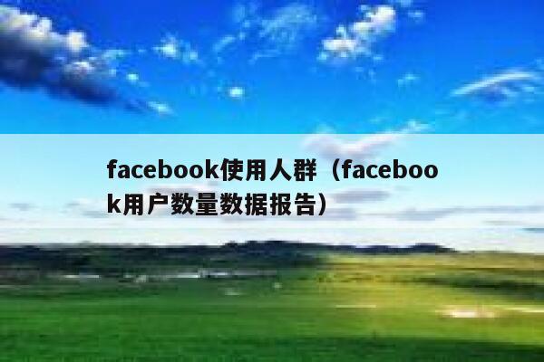 facebook使用人群（facebook用户数量数据报告） 第1张