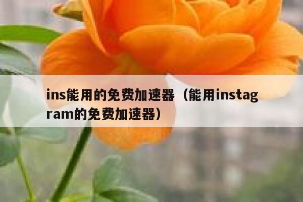 ins能用的免费加速器（能用instagram的免费加速器） 第1张