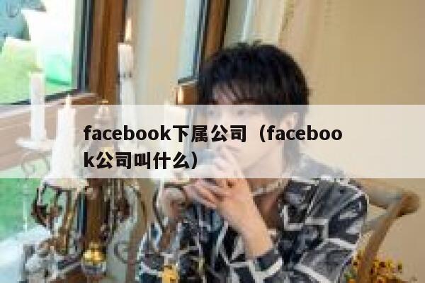 facebook下属公司（facebook公司叫什么） 第1张