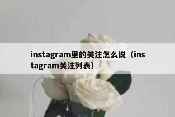 instagram里的关注怎么说（instagram关注列表） 第1张